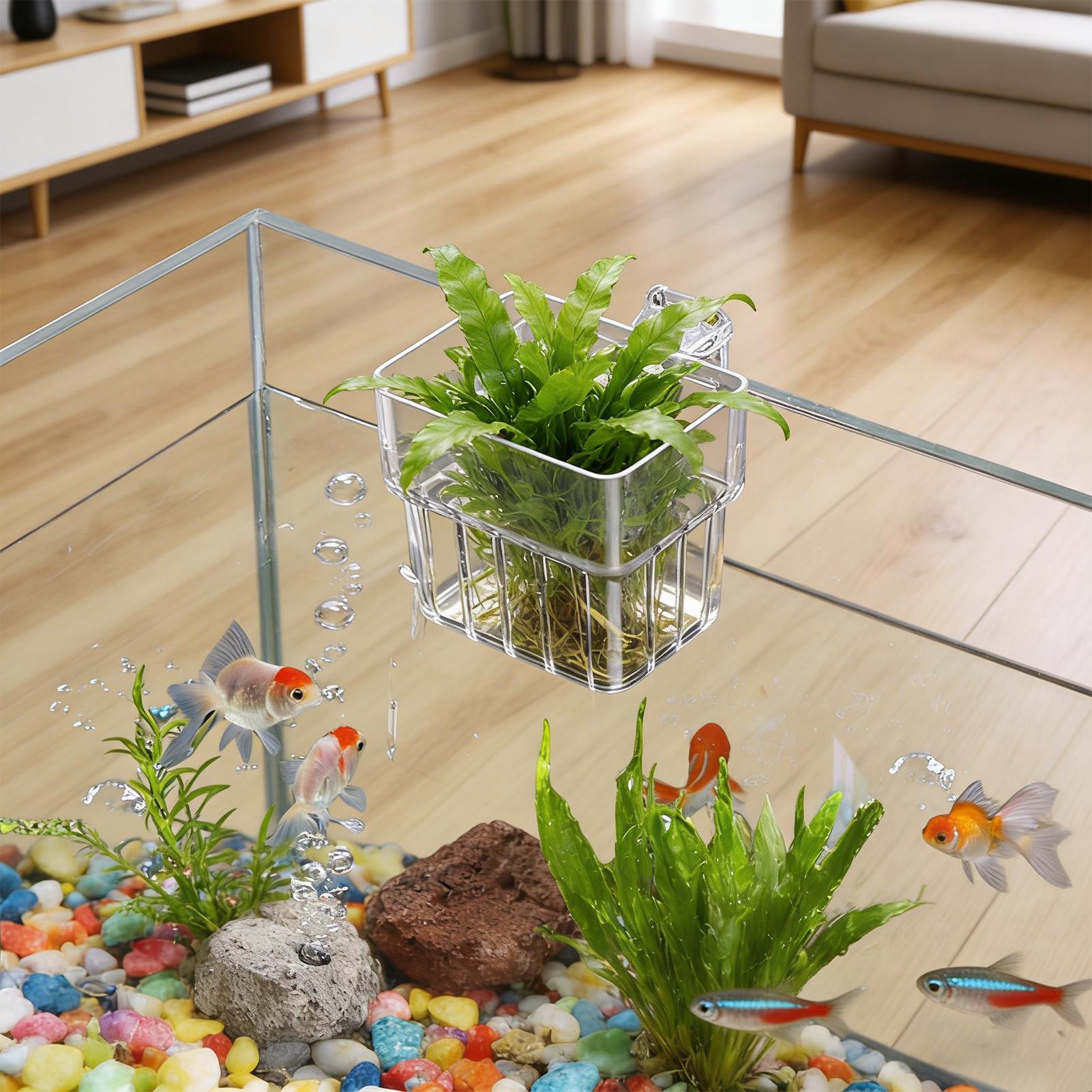 Marine Aquarium Hobby - Fish Tank Fixed Basket Wall mounted