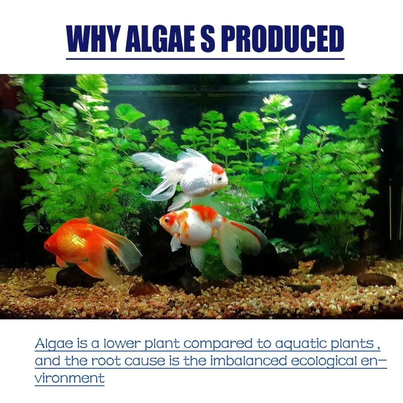 50g High Efficiency Algaecide  - Aquarium Marine Plants recension och pris
