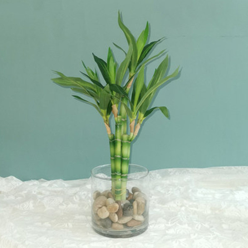 New 40cm rFtificial Lucky Bamb - Aquarium Marine Plants recension och pris