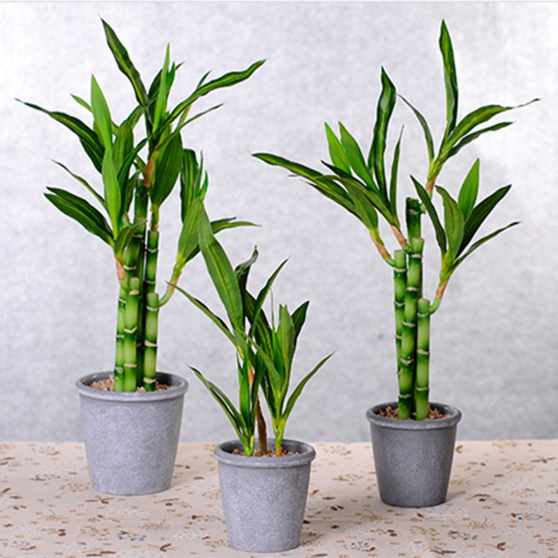 New 40cm rFtificial Lucky Bamb - Aquarium Marine Plants recension och pris