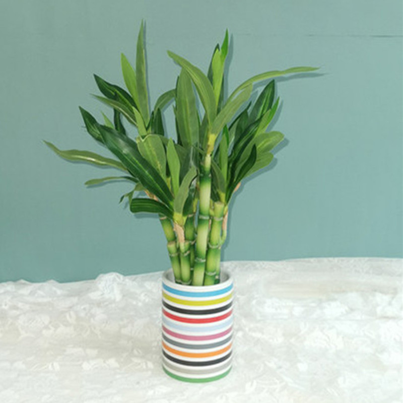 New 40cm rFtificial Lucky Bamb - Aquarium Marine Plants recension och pris