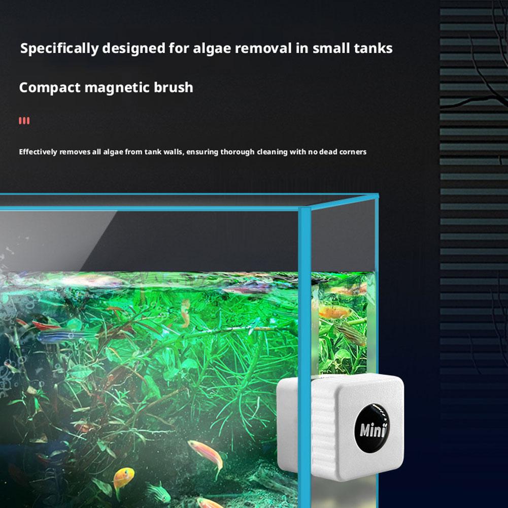 Magnetic Aquarium Glass Cleane - Marine Aquarium Glass Scraper recension och pris