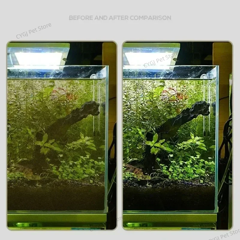 Fish Tank Cleaning Tool Flat S - Marine Aquarium Glass Scraper recension och pris