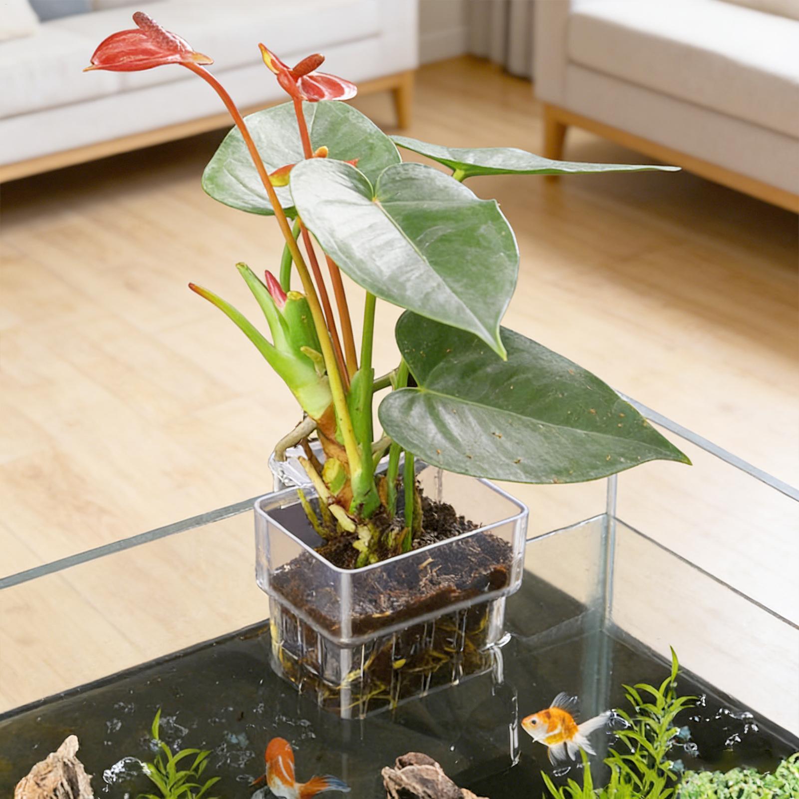 Fish Tank Fixed Basket Wall mo - Marine Aquarium Hobby recension och pris