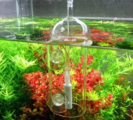 VIV Do Device Aquarium Cylinde - Aquarium Marine Plants recension och pris