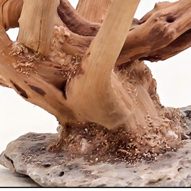 1PC Aquarium Landscaping Wood  - Marine Aquarium Hobby recension och pris