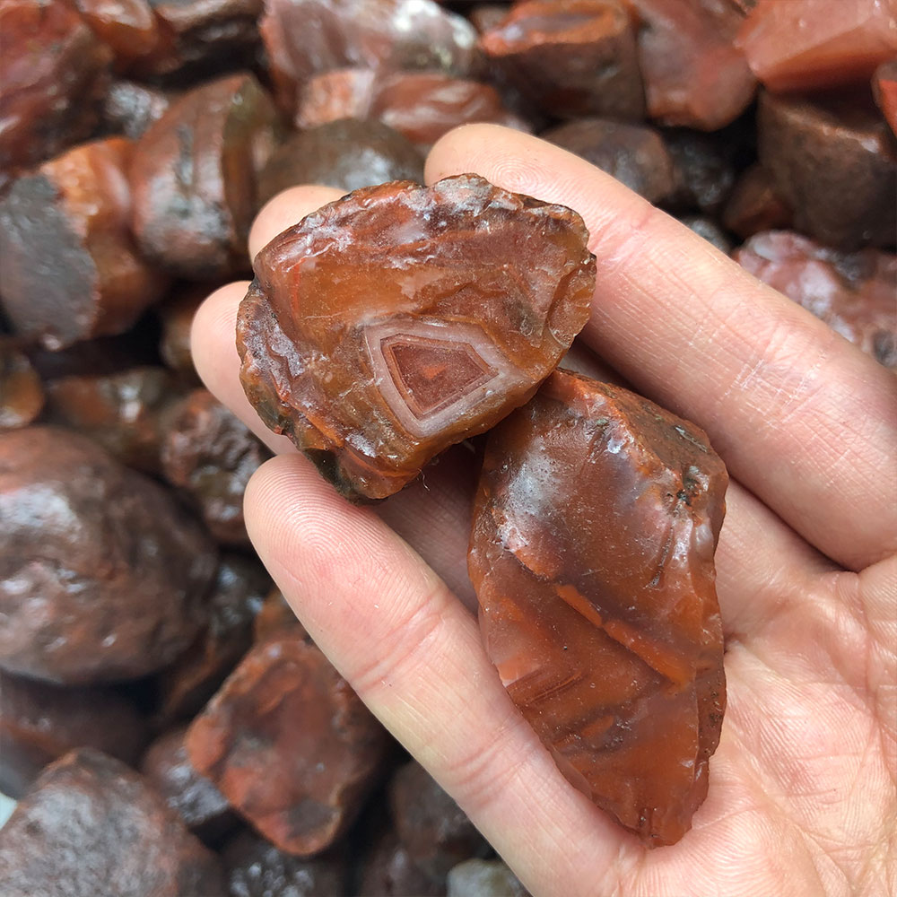 1pc Random Rough Raw Carnelian - Marine Aquarium Hobby recension och pris